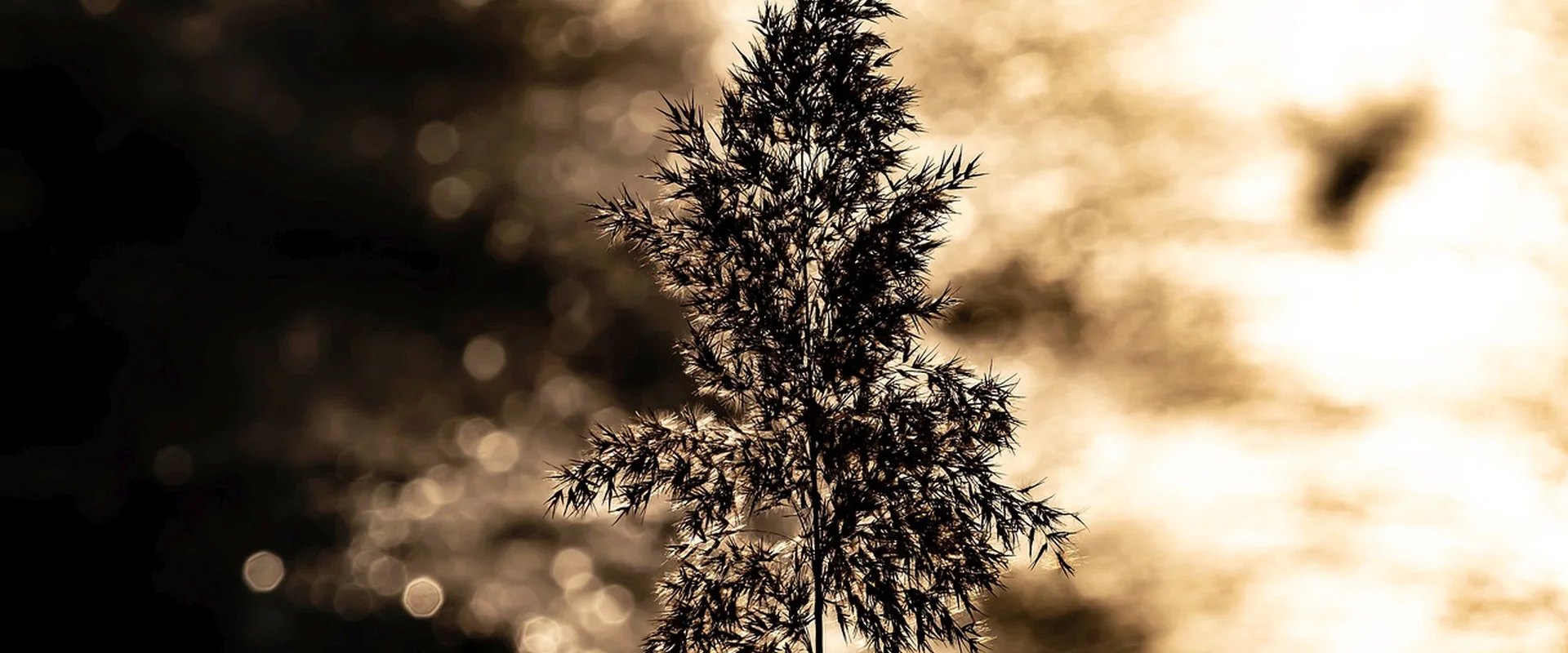 雷火电竞PG电子